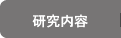 研究内容